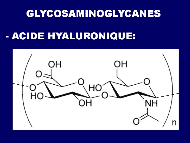 GLYCOSAMINOGLYCANES - ACIDE HYALURONIQUE: